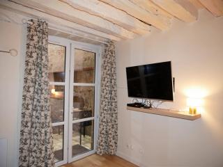 Studio de charme avec terrasse, hypercentre - 1