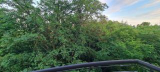 Apartament w Centrum - Płock - 1