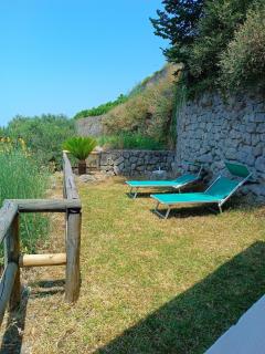 Appartamento Ischia L'ulivo - 1