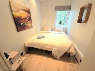 Newly renovated, spacious appartment in central Oslo - 1