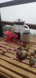 Hostal el Forastero - 0