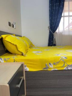 DTS-TOGO Properties - - 2