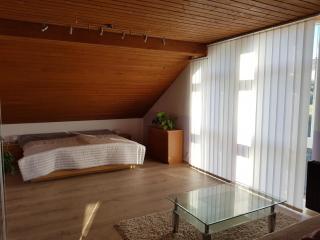 Furnished Apartment with kitchen and bathroom near Erlangen - Baiersdorf - 2