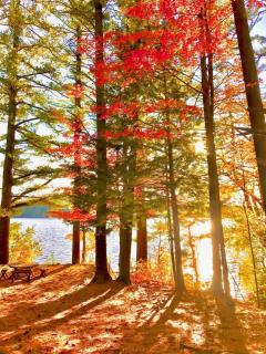 Wagon Wheel Cottage - Relax, Swim, Paddle, Explore - 0