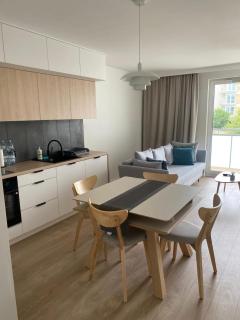 Poznań Nowoczesny Apartament Dworzeckiego - 5