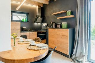 Modern Chalet With Sauna Near Thuringian Forest - 4