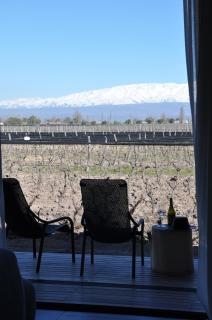 Boutique Hotel Bodega CICLO ANDINO - Perdriel - 8