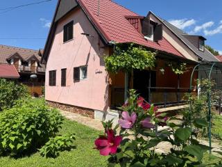 Gerbera Apartman - 5