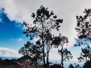 Bamboo Glamping Tà Xùa - 5