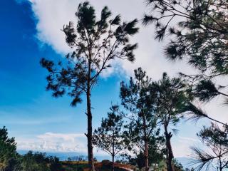 Bamboo Glamping Tà Xùa - Bắc Yên - 6