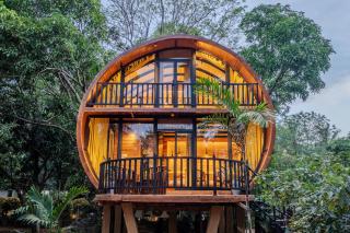 woodland sanctuary - 8