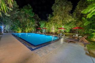 woodland sanctuary - 6