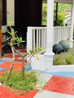 Little Pumpkin Cabanas & seafood restaurant - 5