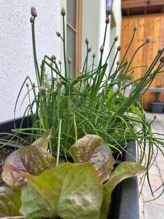 Ferienwohnung Aigner - 7