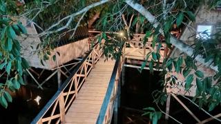 Amazon Private Tours Jungle Lodge - 3