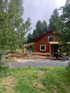 Betula Izerska - 9