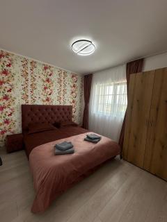 Vila Luxury - - 6