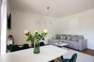 Luxury Landing 4 - centrally located accomodation with private parking Targu Mures - 4