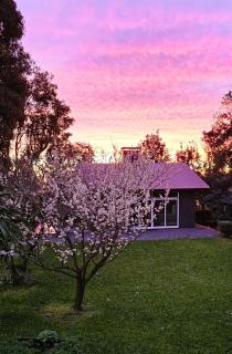 Casa no Bosque - 6