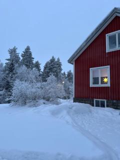 Bettys Hus - 7