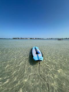 The Mangrove House on Siesta Key - 9