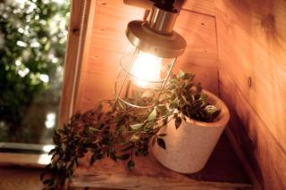 Pattys Barn Holiday Cottages, Cabins and Venue Hire - Cockerham - 5