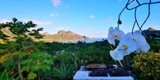 Hoakehu Lodge - - 5
