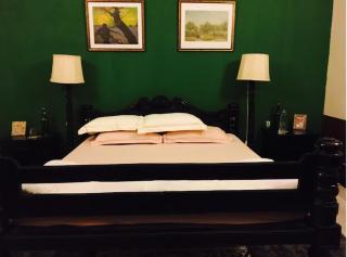 The Sarovar Palace - 4