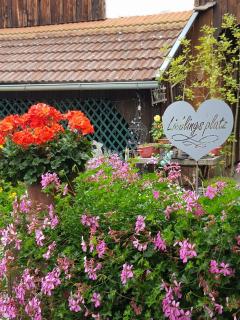Lisis Appartements, Privatzimmer, Ferienwohnungen - - 2