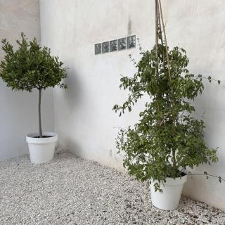 Med Time Hotel Boutique - 1