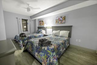 Amazing North Tower Sand Dunes Resort! - Myrtle Beach - 5