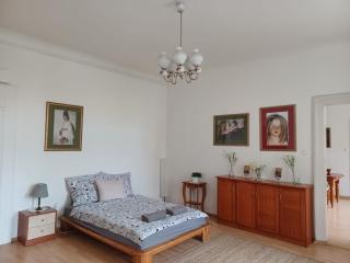 Paderewskiego Old Town Apartaments - Krakau - 7