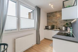 Chopina Comfort Studio by BookingHost - Katowice - 1