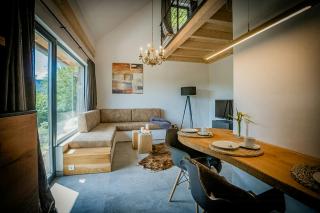 Modern Chalet With Sauna Near Thuringian Forest - 1
