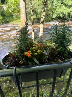 River Dance Cottage, Aysgarth - 3