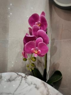 Apartman Bulevar - 1