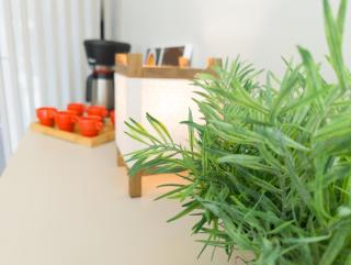 Curta Praia da Armação - Casa Tulipa - 1