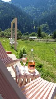 Pink House Karpaty - 6