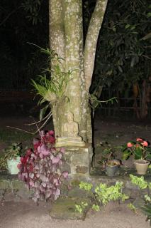 Private Villa747 - 2