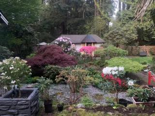 Quiet Backyard Cabin - 0