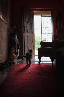 Luxury Large Villa in Nature Reserve in Ezulwini - 5