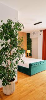 Penthouse View Aeroport Iasi - 1