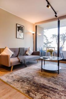 Chic 1-Bedroom Retreat in Providencia - 4