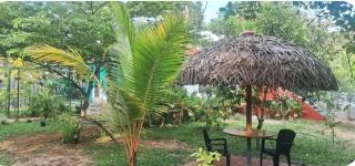 Kuttappy dreams - Mararikulam - 2