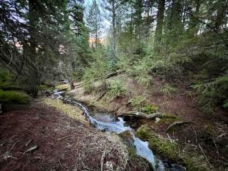Pinebox at Evergreen Modern 20Acres -Serene-Creek - 6