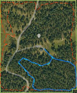 Pinebox at Evergreen Modern 20Acres -Serene-Creek - 3