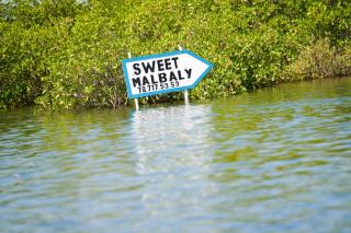 Sweet Malbaly - Fatick - 7