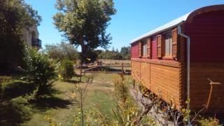 La Nanou'che (roulotte en Camargue) - Le Cailar - 4