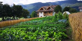 Pension Panorama - 7