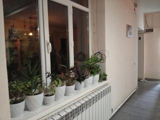 Guest House StarSky - Karakol - 2